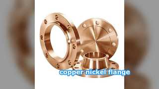 Flanges de cobre-níquel: resistência superior à corrosão da água do mar para tubulações marítimas