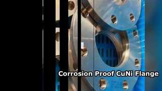Uso químico de flange CuNi 70/30