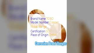 Flanges de óculos cobre níquel 90/10 forjado