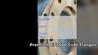 C71500 CuNi 70 30 qualidade forjada superior da flange do pescoço da solda