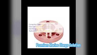 Solução de grau marinho com flange de pescoço de solda CuNi 70 30
