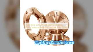 Flange de pescoço de solda CuNi resistente à corrosão para plantas de fertilizantes