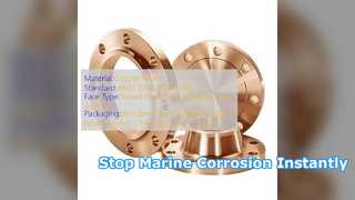 Deslizamento de CuNi C70600 na flange marinha resistente à corrosão