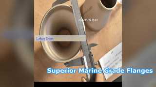 Cui durável 70 0 flanges de categoria marinha ASME B6